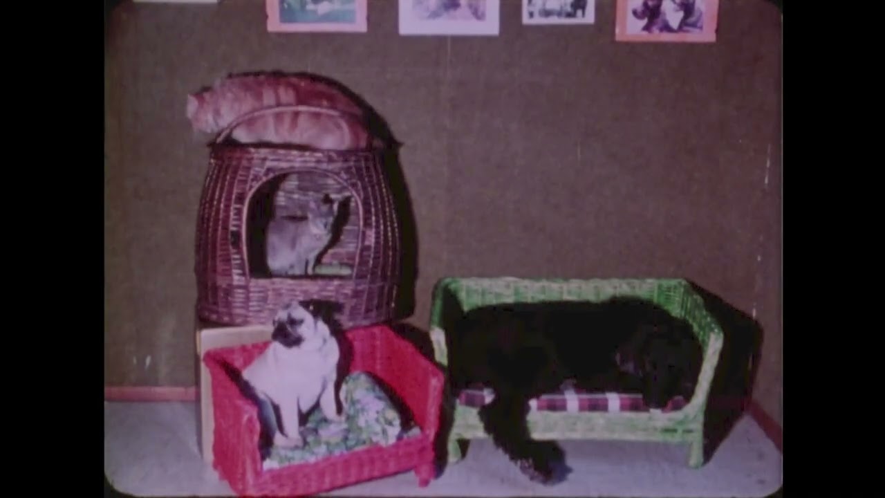 Werbespots zeigt die Stadt MÜNCHEN, wie du sie noch NIE gesehen hast! Kinospots der 1960er - 35mm