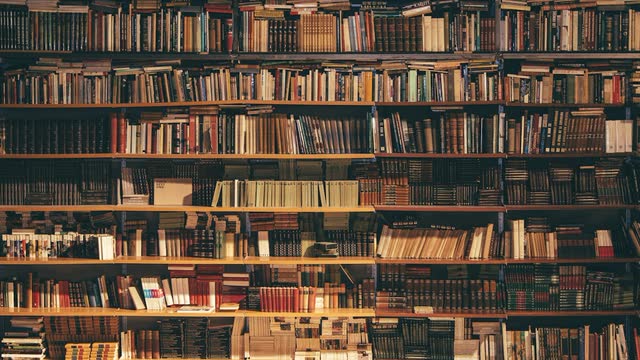Archiv & Katalog