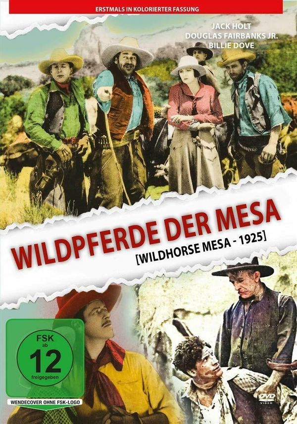 Die Wildpferde der Meseta